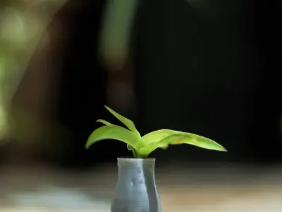 Female vase Free 3D print model