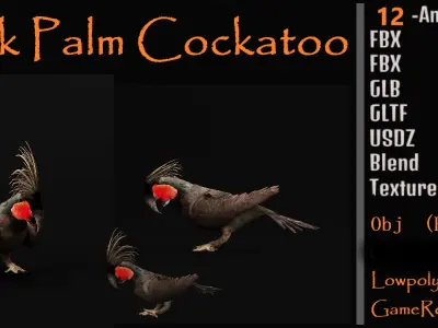 Black Palm Cockatoo Bird Low-poly 3D model