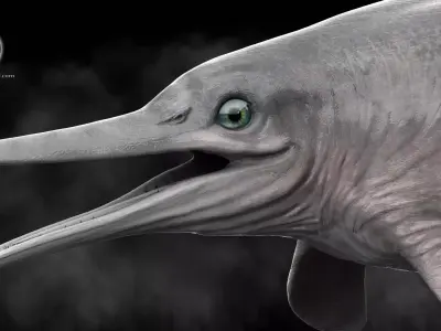 Ophthalmosaurus Low-poly 3D model