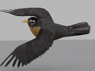 animated low-poly bird  Low-poly 3D model
