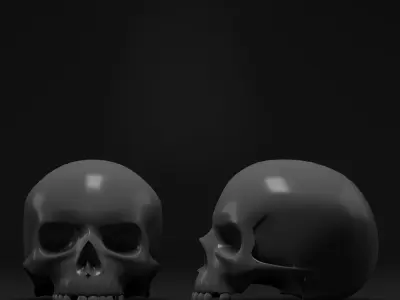 Wild survivor pack 3D model