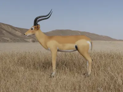 Gazelle antelope Low-poly 3D model