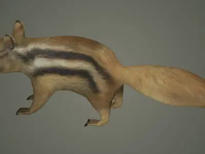 squirrel cute animal mammal wildlife little hamster marmot 3D model