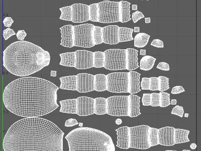 Tarantula Brazilian Pinkbloom Low-poly 3D model