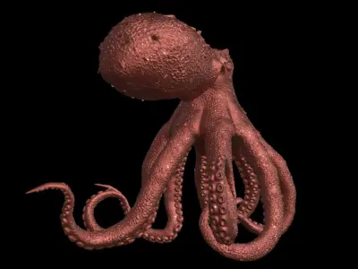 Realistic Octopus 3D model