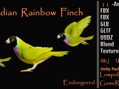 Gouldian Rainbow Finch Bird Low-poly 3D model