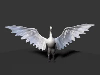 white swan  3D model