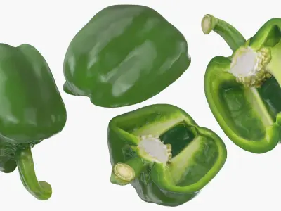 Green Bell Pepper Half 3D model