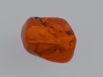 Sea Otter Skull Trapped within Amber 3D model