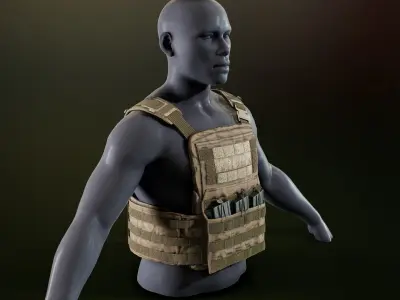 Crye Cage VEST Low-poly 3D model