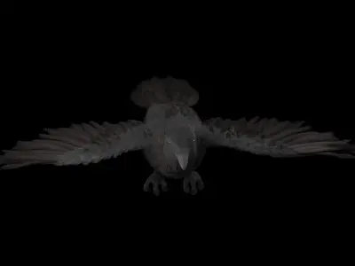 Realistic Animated Crow 3D model
