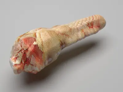 Chicken Neck 3D model