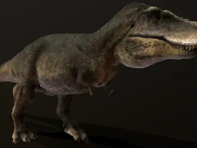 Tarbosaurus Low-poly 3D model