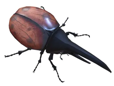 beetle dynastes Low-poly 3D model