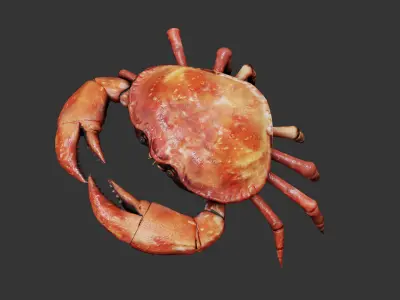 Crab animated walkcycle Low-poly 3D model