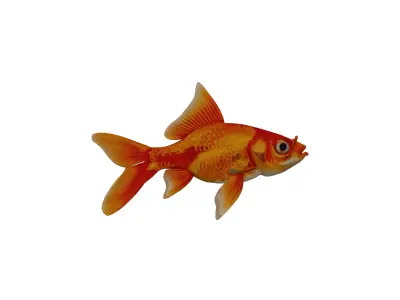 Goldfish 3D ModelLow Pol PBR TexturedGame Ready Low-poly 3D model