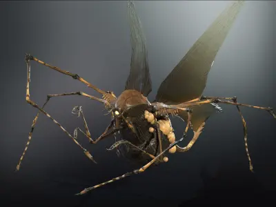 LandBug5 A1 Low-poly 3D model