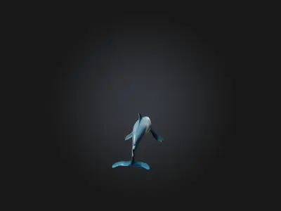 Realistic Hurt Dolphin Model Low-poly 3D model