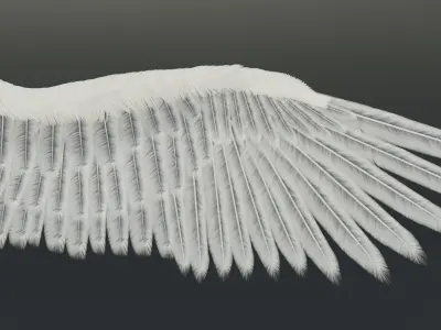 Wing Angels  Bird Low-poly 3D model purchase
