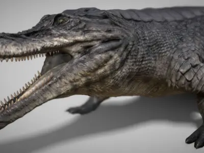 Sarcosuchus Low-poly 3D model