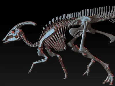 Parasaurolophus skeleton Low-poly 3D model