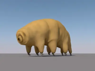 Tardigrade 3D model hamster 3D model