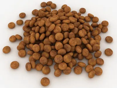 Dog Food Pile 3D model