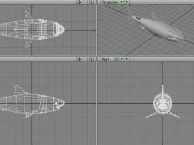 Shark - Great White 3D model