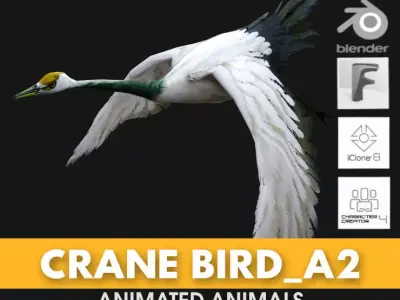 Crane Bird A2 3D model