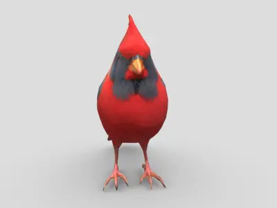 Standing Bird Cardinal Low-poly 3D model