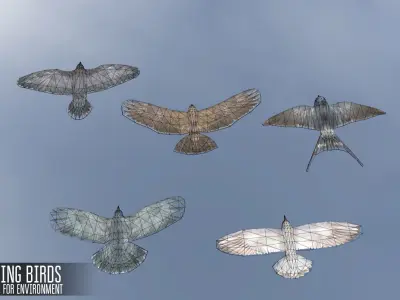 Soaring birds - animals for environment 3D model