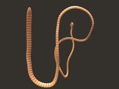TapeWorm snake chain 3D model