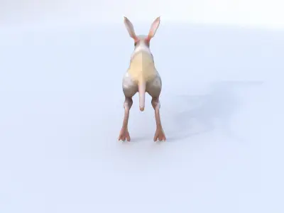 Jerboa 3D model