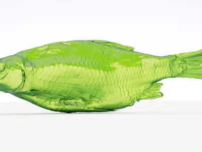 Dried roach fish 3d scan 3D model