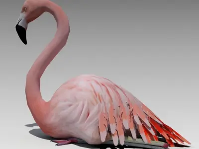 Flamingo Animated Low-poly 3D model