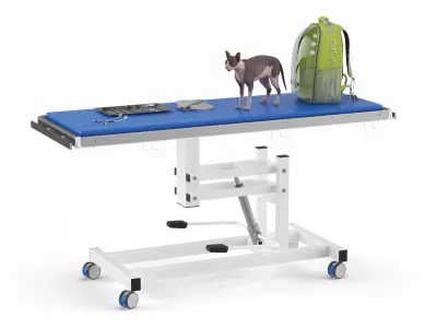 Veterinary Examination 3D model