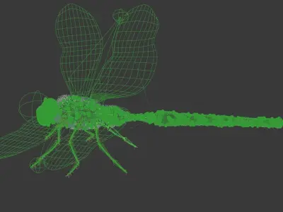 Dragonfly on leaf 3D model