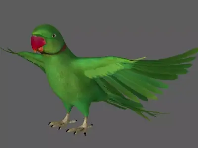 Green Parrot 3D model