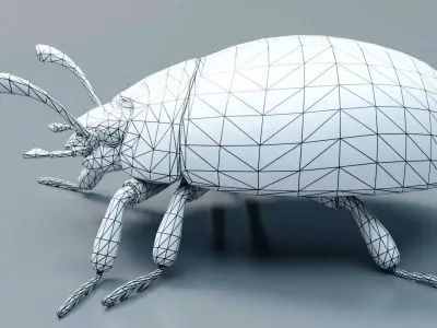 Ladybug stylized 3D model