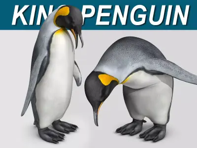 Penguin - King 3D model