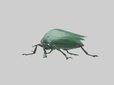 Beetle on leaf model Low-poly 3D model