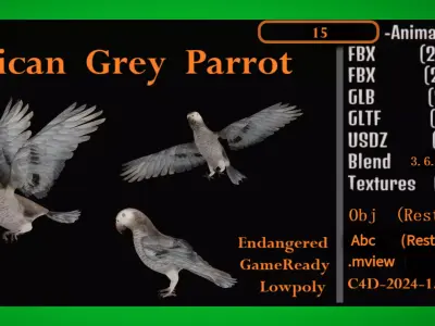 African Congo Grey Parrot Low-poly 3D model