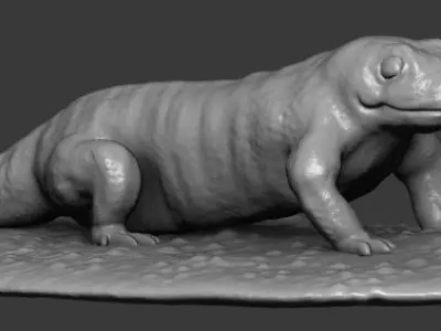 Salamander lizard 3D print model