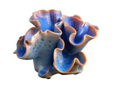 Coral reef collection 1-30  Low-poly 3D model