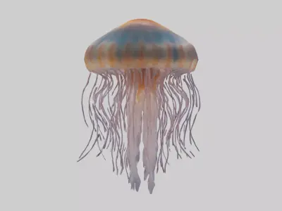 Lions Mane Jellyfish drifting model Low-poly 3D model