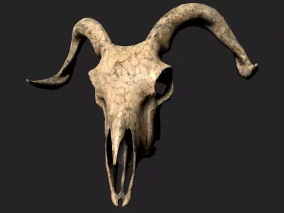 Goat Skull Low-poly 3D model