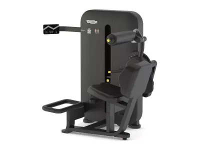Technogym Selectorized Artis Lower Back 3D model