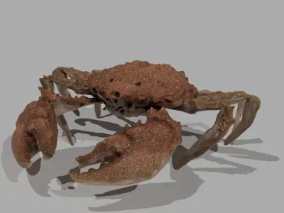 CRAB 001 Free 3D model