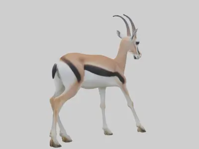 Thomsons gazelle Low-poly 3D model