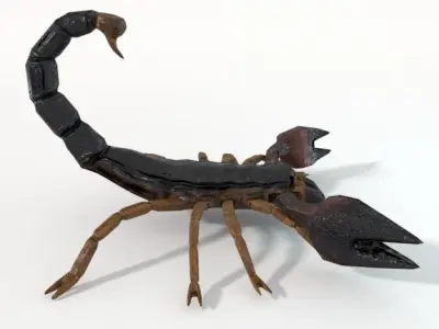Scorpion Low-poly 3D model